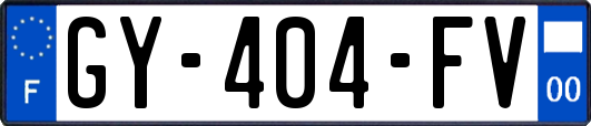 GY-404-FV
