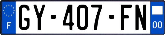 GY-407-FN