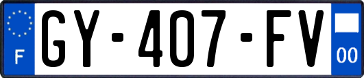 GY-407-FV