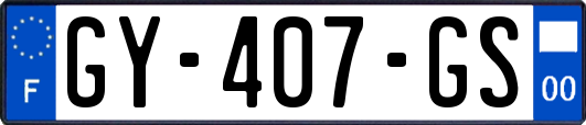 GY-407-GS