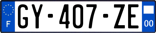 GY-407-ZE