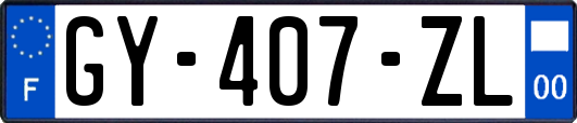 GY-407-ZL