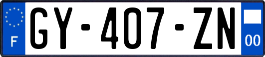 GY-407-ZN