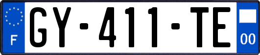 GY-411-TE