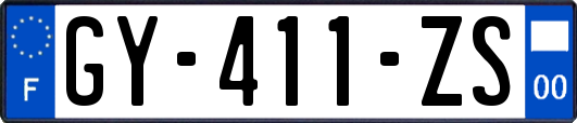 GY-411-ZS