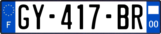 GY-417-BR