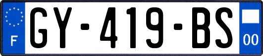 GY-419-BS
