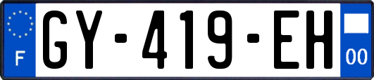 GY-419-EH