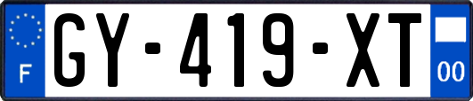GY-419-XT