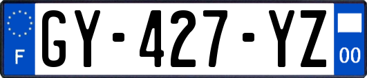 GY-427-YZ
