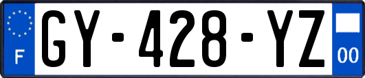 GY-428-YZ