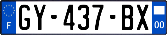 GY-437-BX