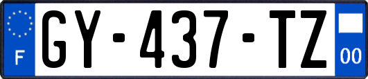 GY-437-TZ