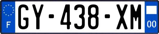 GY-438-XM
