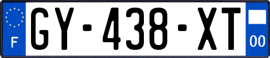 GY-438-XT