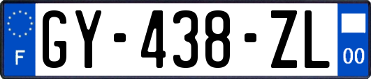 GY-438-ZL