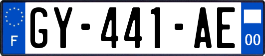 GY-441-AE