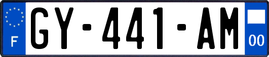 GY-441-AM