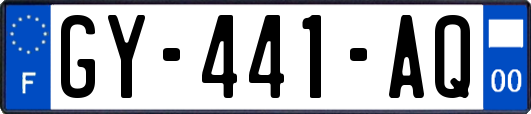 GY-441-AQ
