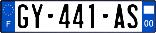 GY-441-AS