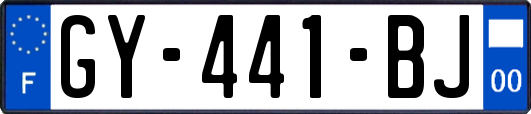 GY-441-BJ