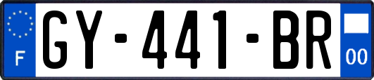 GY-441-BR