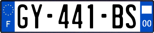 GY-441-BS