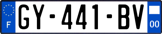 GY-441-BV