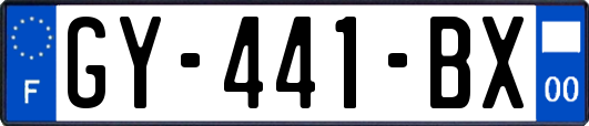GY-441-BX