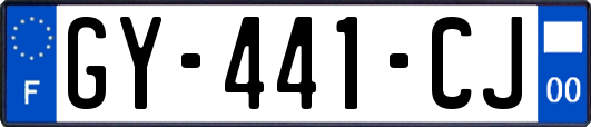 GY-441-CJ
