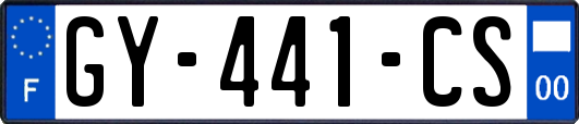 GY-441-CS