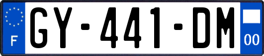 GY-441-DM