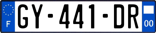 GY-441-DR