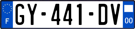 GY-441-DV
