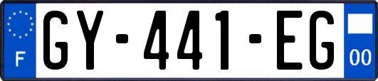 GY-441-EG