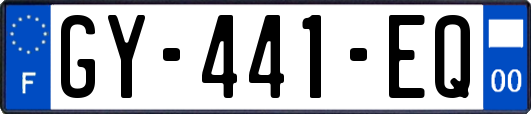 GY-441-EQ
