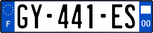 GY-441-ES