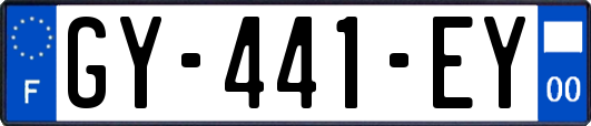 GY-441-EY