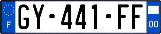 GY-441-FF