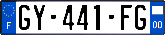 GY-441-FG