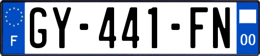 GY-441-FN