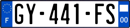 GY-441-FS