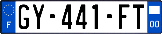 GY-441-FT