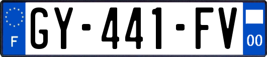 GY-441-FV