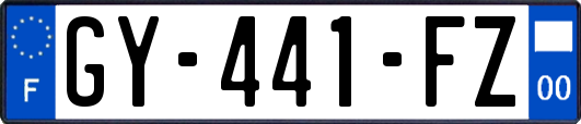 GY-441-FZ