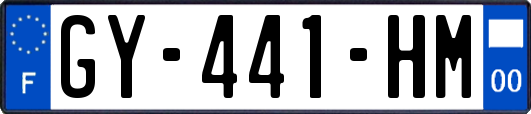 GY-441-HM