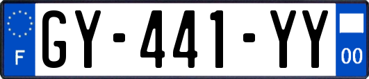 GY-441-YY