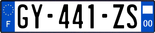 GY-441-ZS