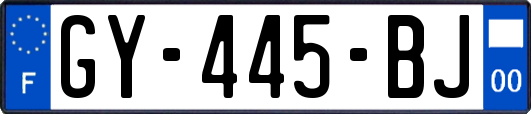 GY-445-BJ