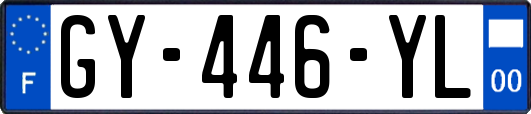 GY-446-YL
